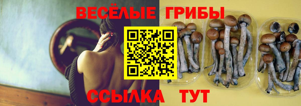 даркнет сайт  Вход с VPN  Галлюциногенные грибы GOLDEN TEACHER  Ялуторовск  Галлюциногенные грибы Magic Shrooms 
