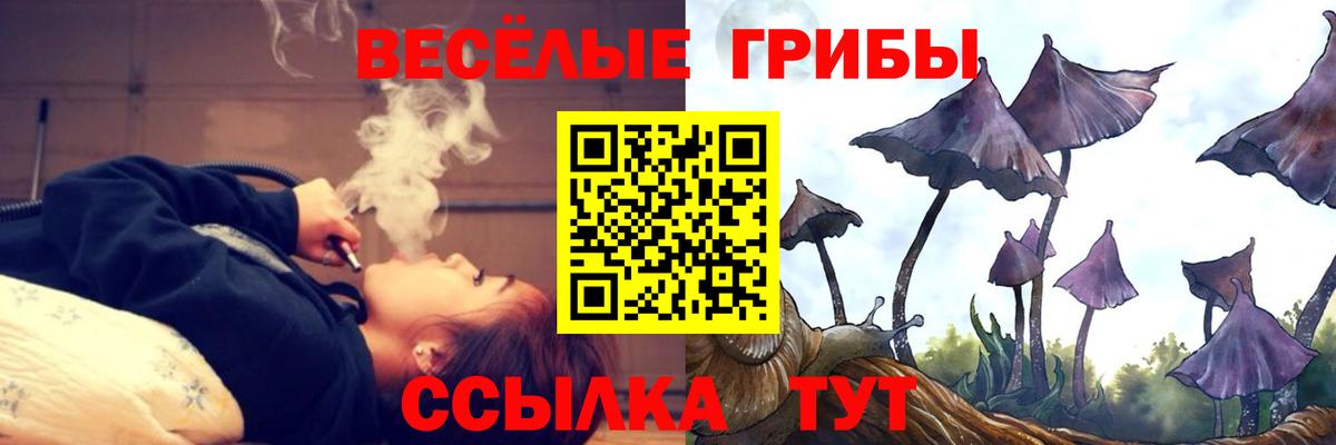 Галлюциногенные грибы Psilocybine cubensis Ялуторовск